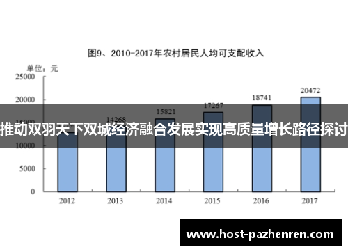 推动双羽天下双城经济融合发展实现高质量增长路径探讨