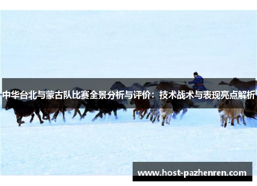 中华台北与蒙古队比赛全景分析与评价：技术战术与表现亮点解析