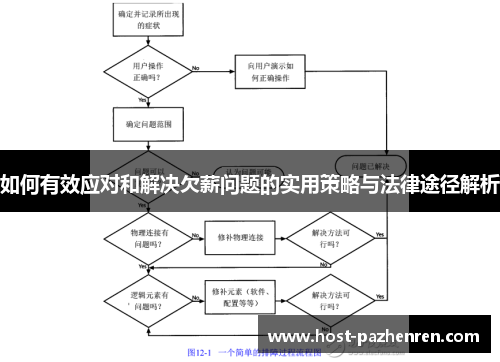 如何有效应对和解决欠薪问题的实用策略与法律途径解析