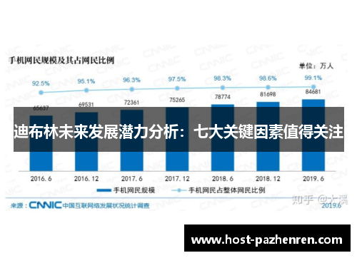 迪布林未来发展潜力分析：七大关键因素值得关注