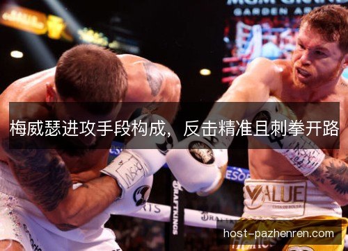梅威瑟进攻手段构成,反击精准且刺拳开路 梅威瑟进攻手段构成,反击精准且刺拳开路